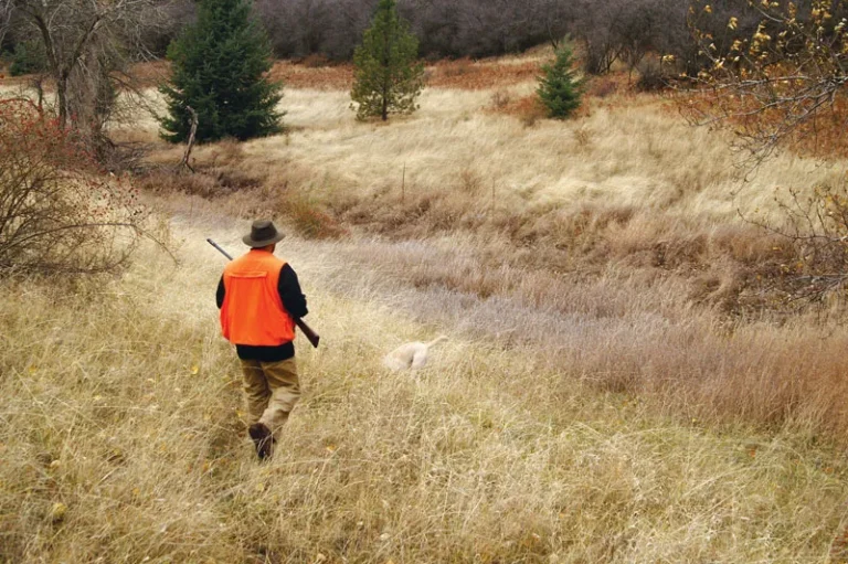 The Development of Hunting Techniques Over Time