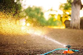 Keeping the Green Alive: Best Practices for Sprinkler Maintenance