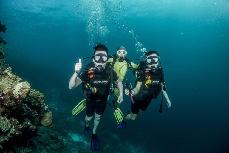 Diving Tours in the Maldives